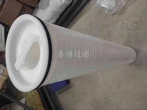 保安過濾器濾芯/φ160x1016 CHF640F005/EP/PP